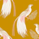 Bird of paradise on ocher