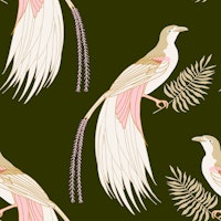 birds of paradise on dark green wallpaper