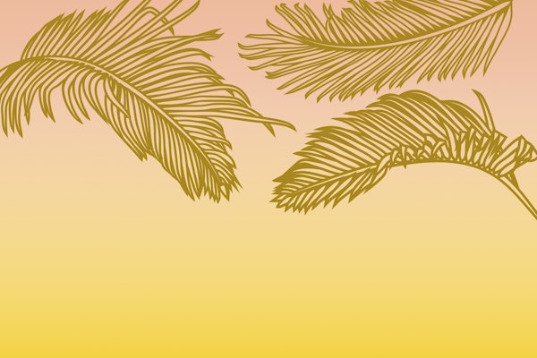 Tropical Sunrise Ombre