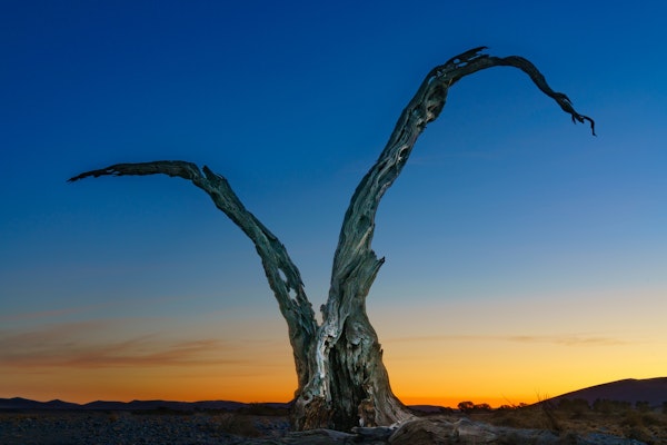 201646   Under African skies