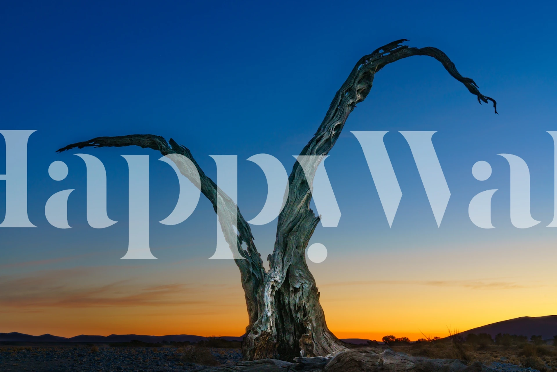 201646 Under African skies tapet i et rum