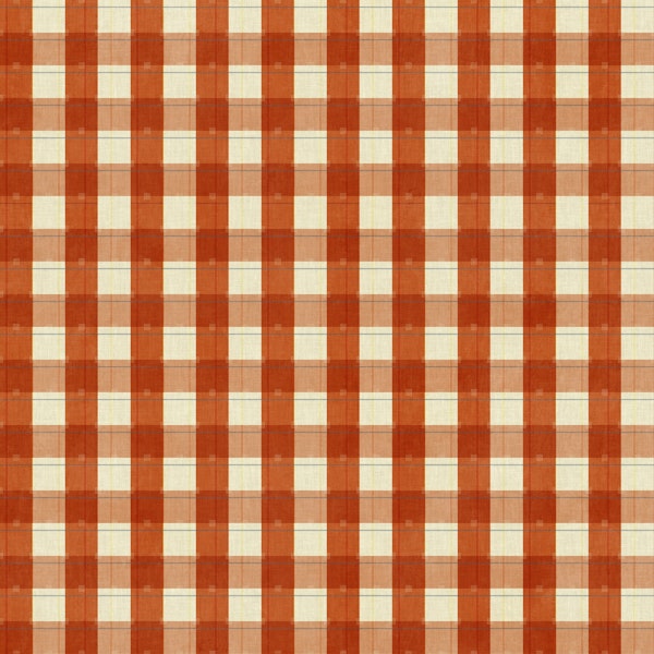 gingham checker pattern rusty