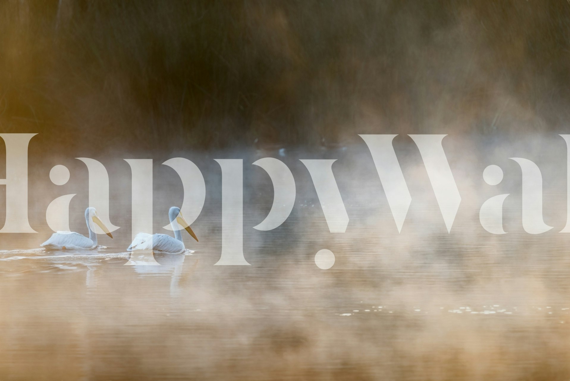 Elegant wallpaper with birds in misty water