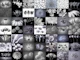 Collage of Flowers