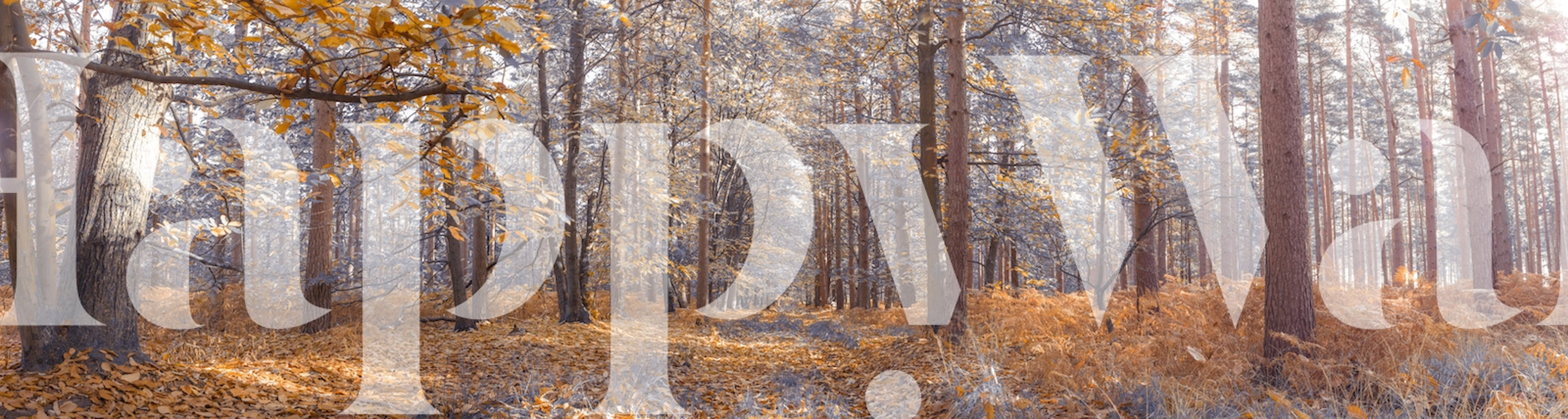 Autumn forest scene wallpaper with orange leaves and trees