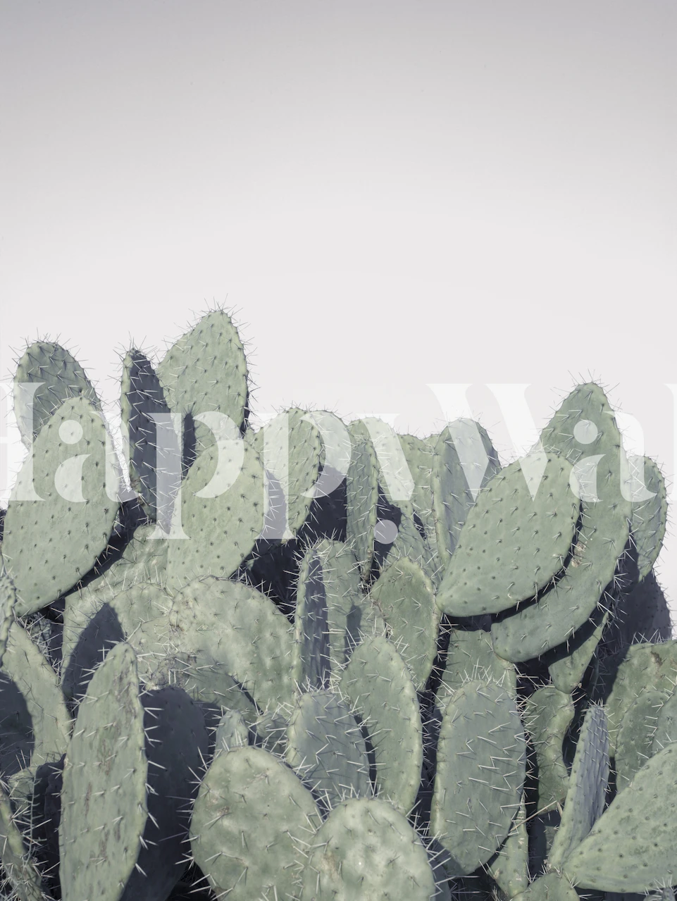 Cactus silhouette wall mural with gray background for home or office decor