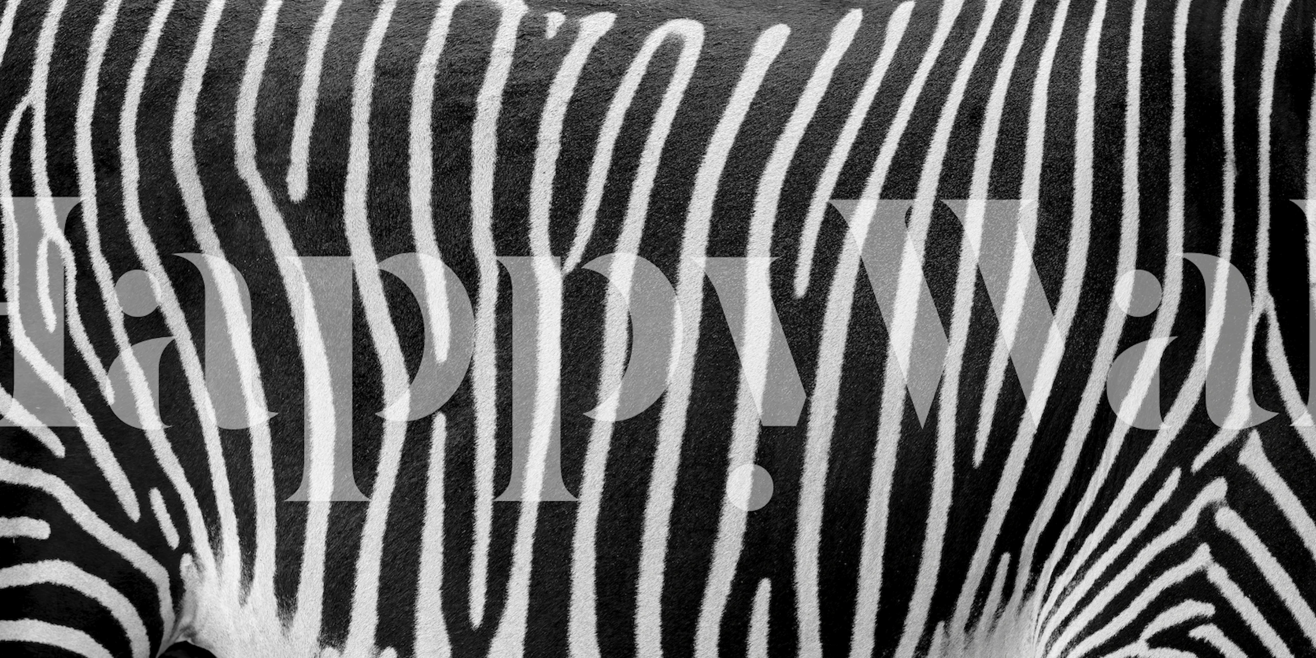 Zebra stripe pattern wall mural for modern home decor