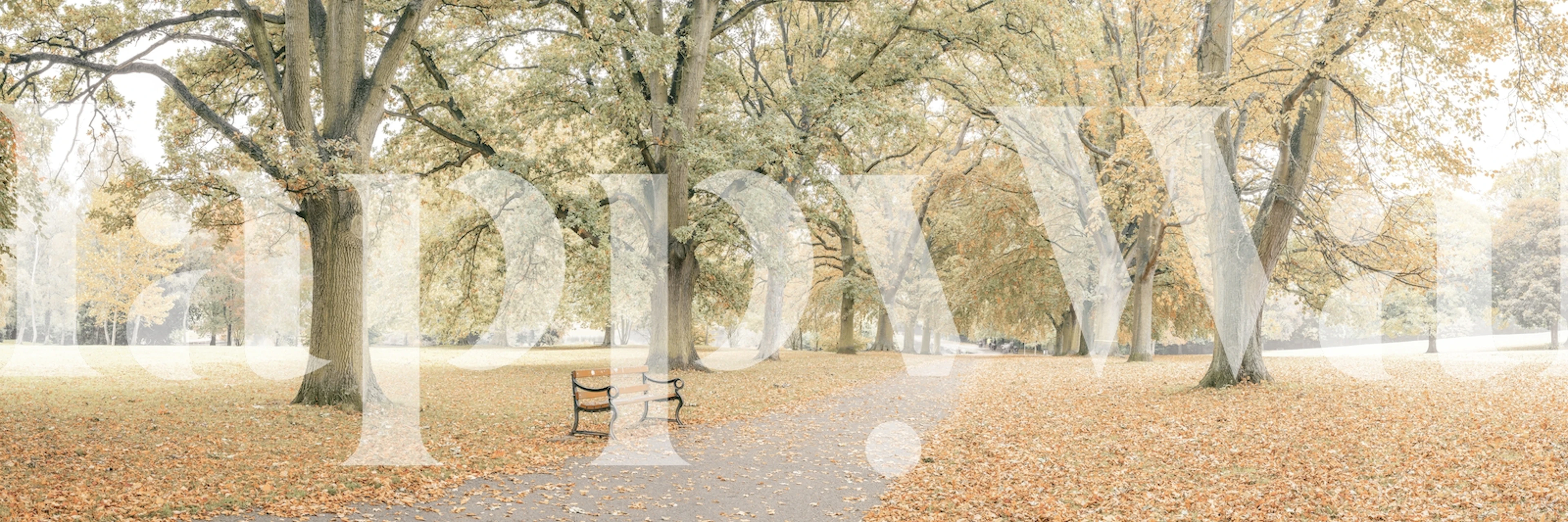 Herfstparkscène fotobehang met een pad omzoomd door bomen en gevallen bladeren