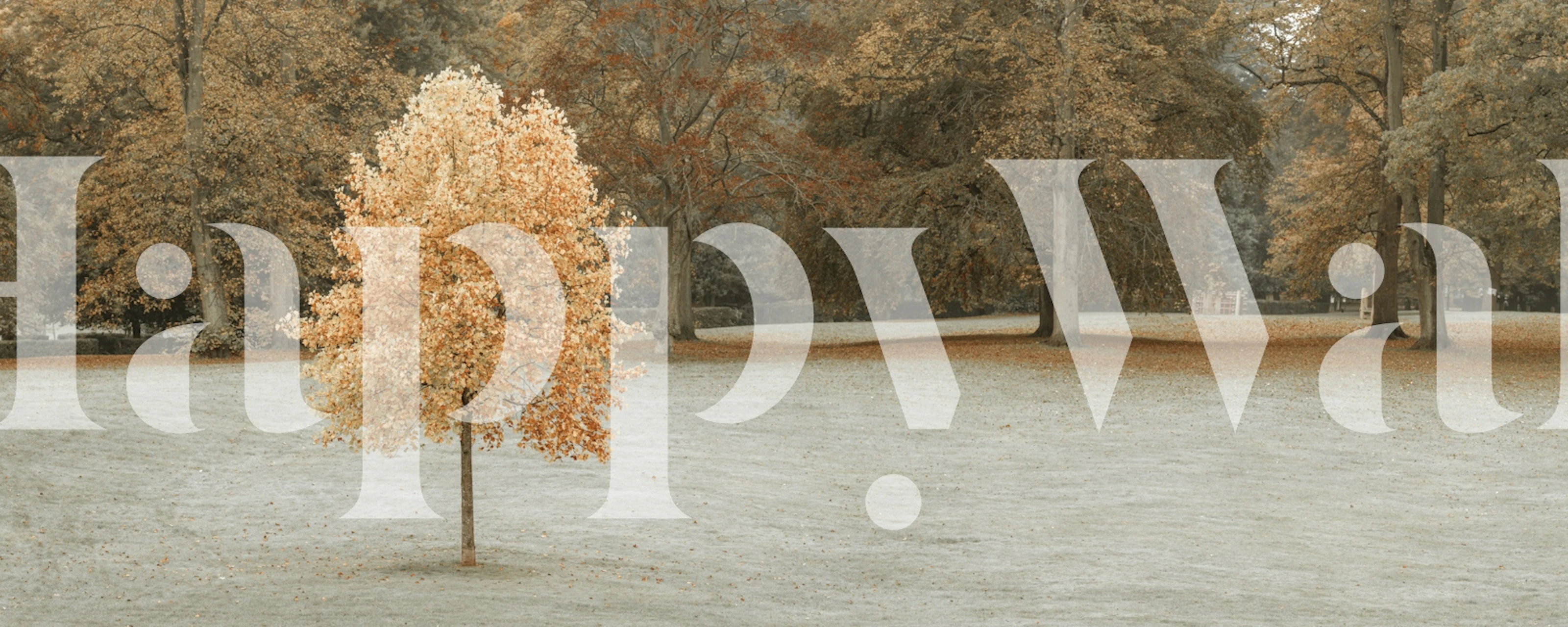 Autumn wallpaper featuring a lone tree