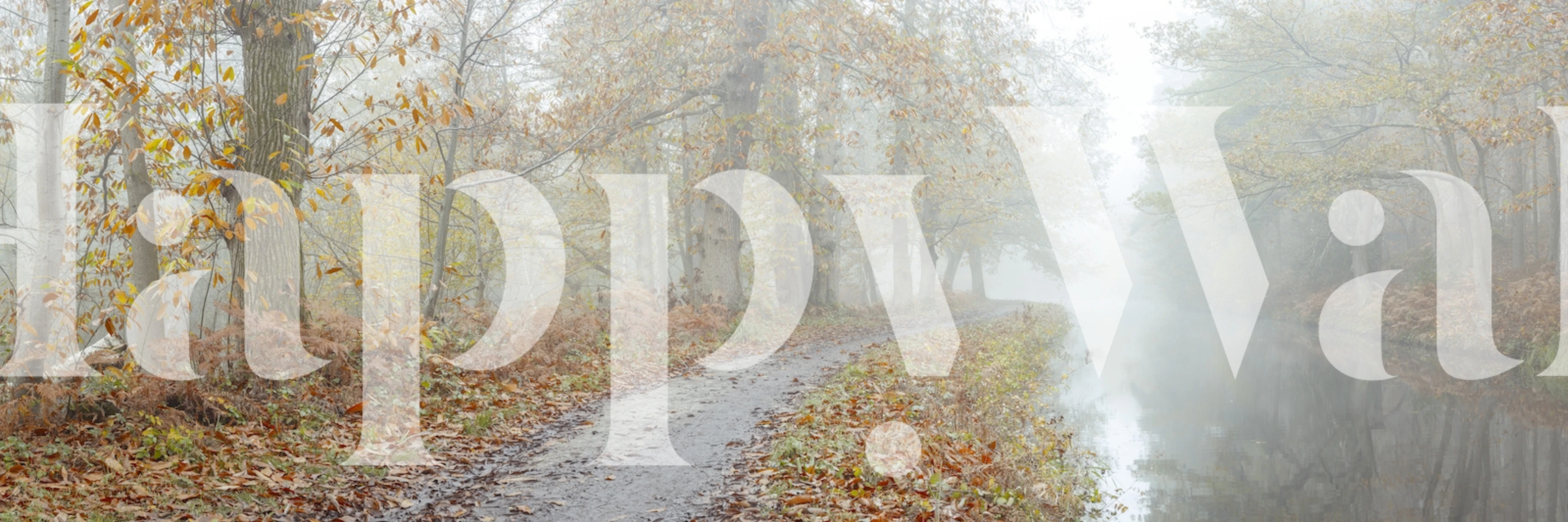 Foggy autumn forest scene with trees and fallen leaves wallpaper