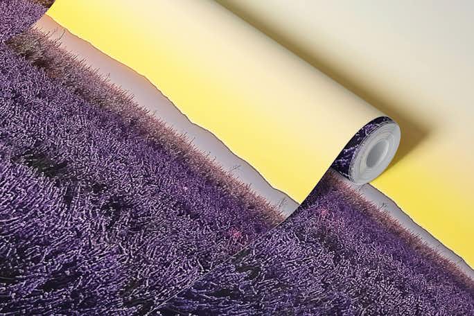 Provence Sunsetwallpaper roll