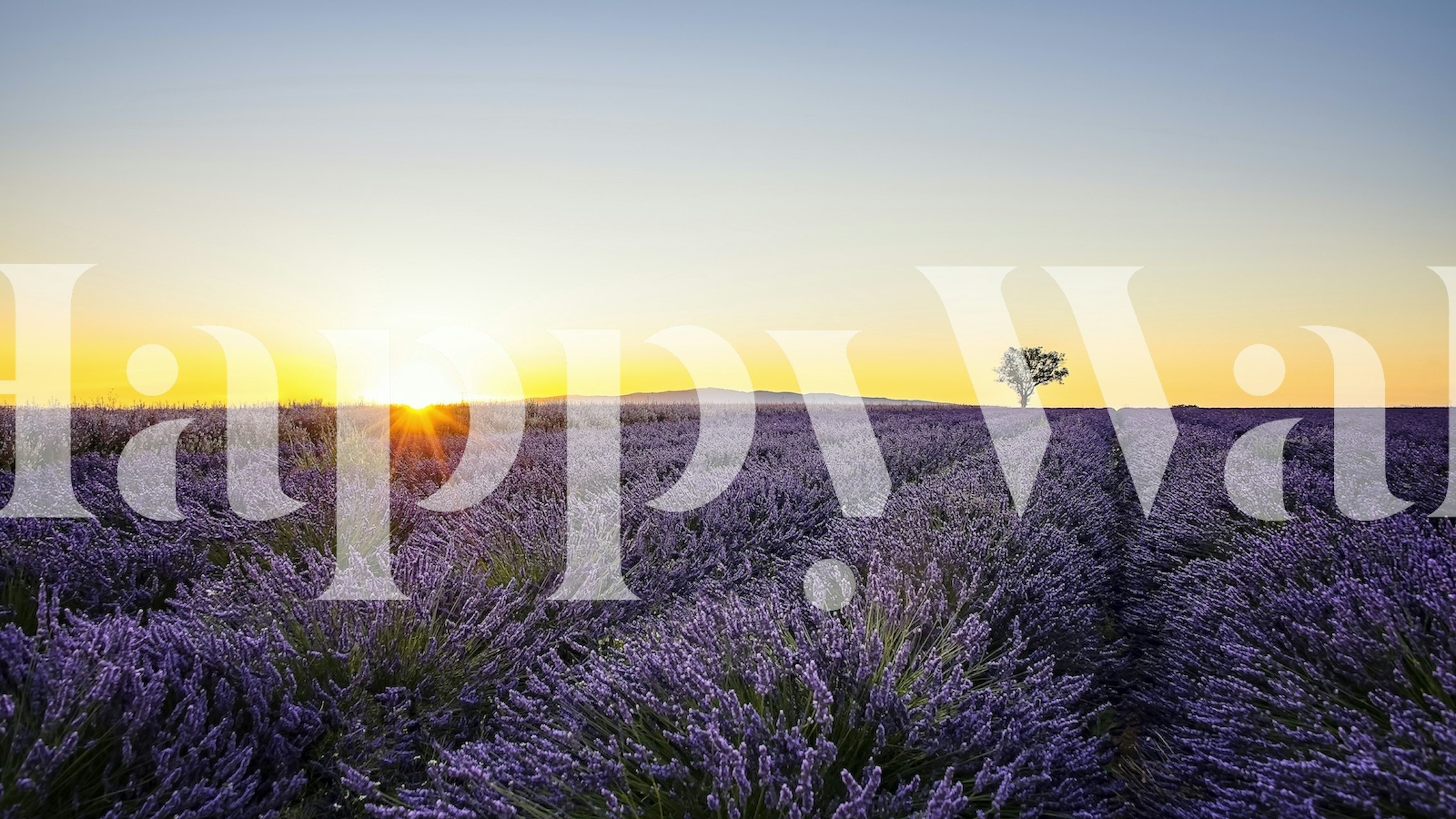 Provence Sunset tapet i et rum