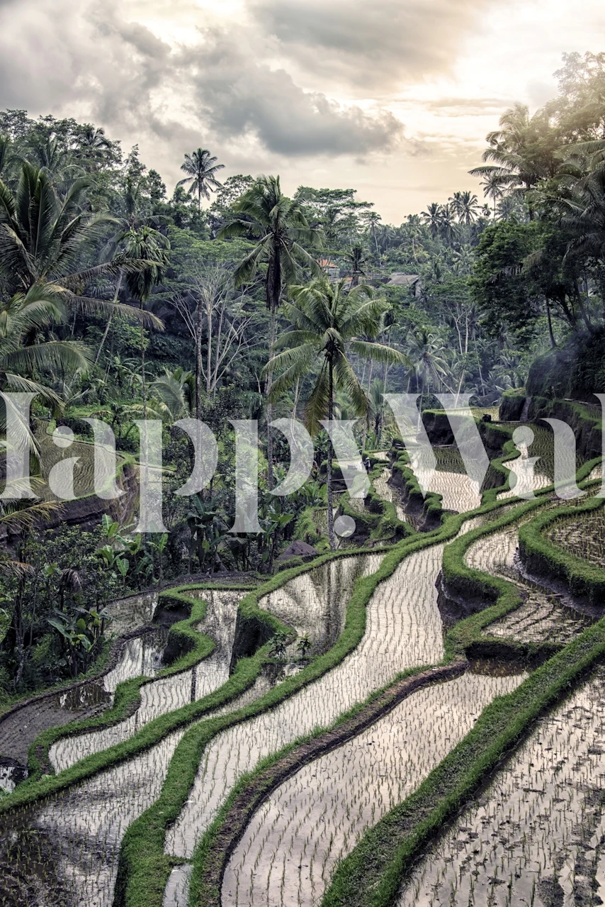 Tegallalang Rice Terrace tapet i ett rum