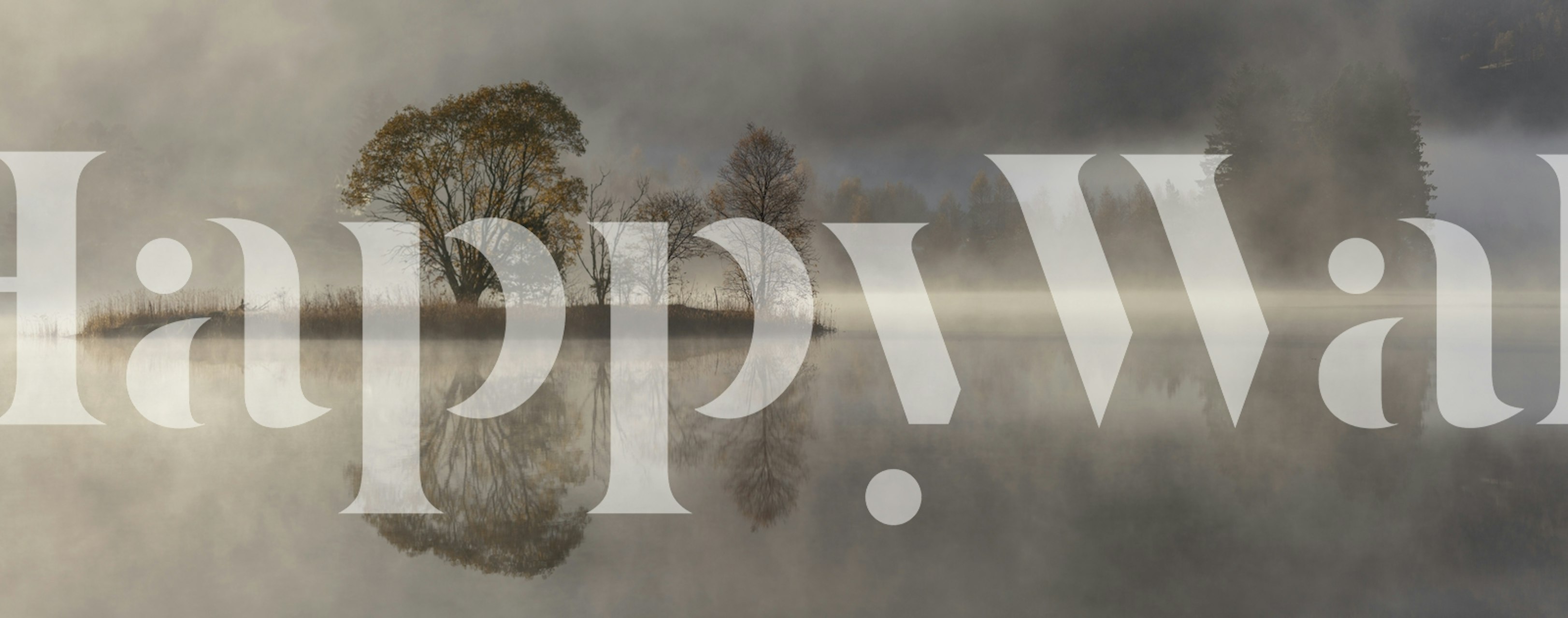 A tranquil nature landscape with trees and fog reflecting on water wallpaper