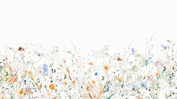 The Wildest Wildflower Meadow 1