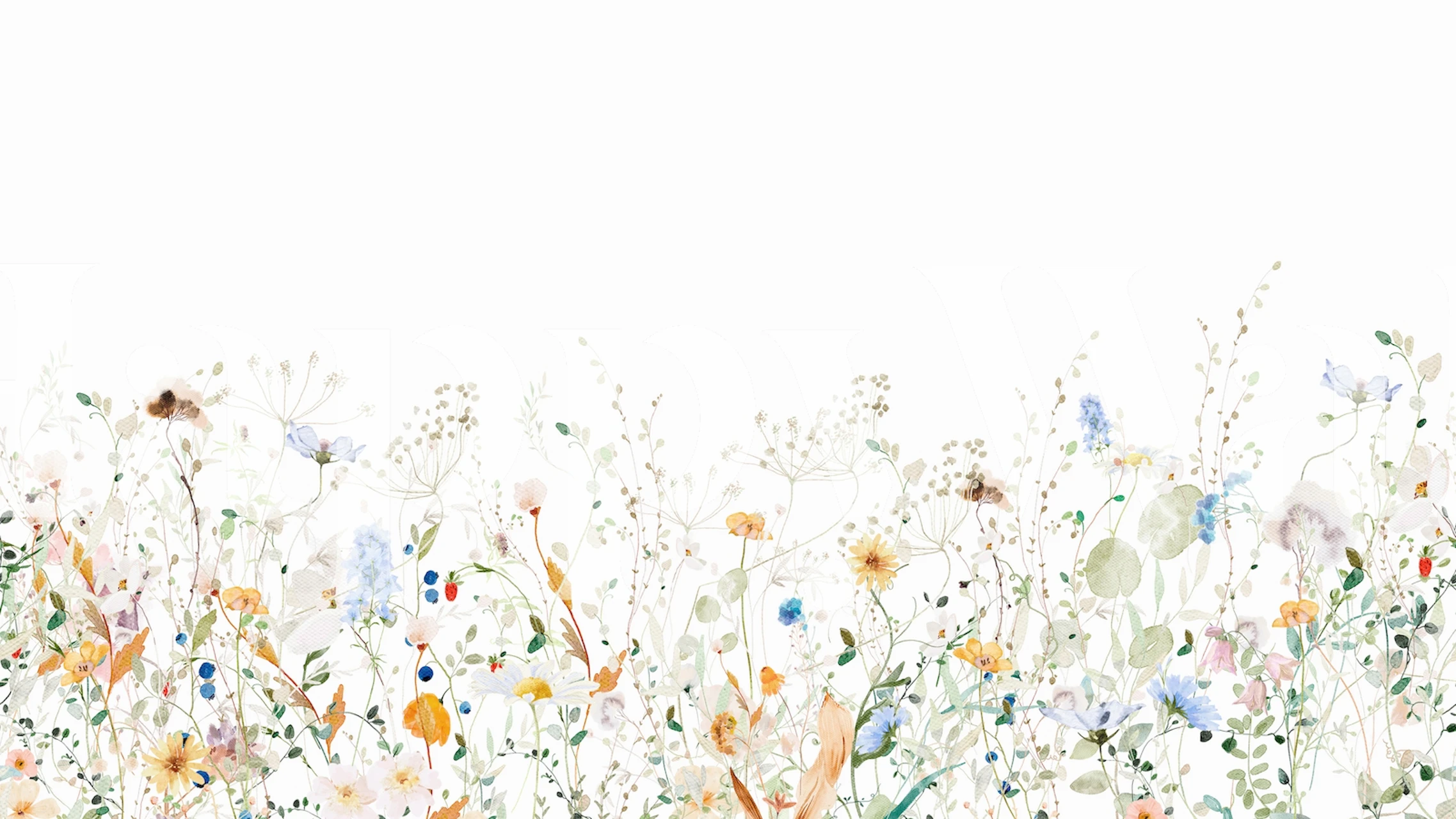 Bunte Wildblumen auf weißem Hintergrund Tapete