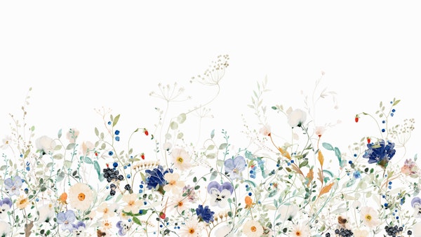 Enchanting Midsummer Wildflower Meadow