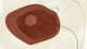 Mid Century Bauhaus Organic Form