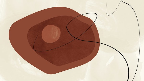Mid Century Bauhaus Organic Form