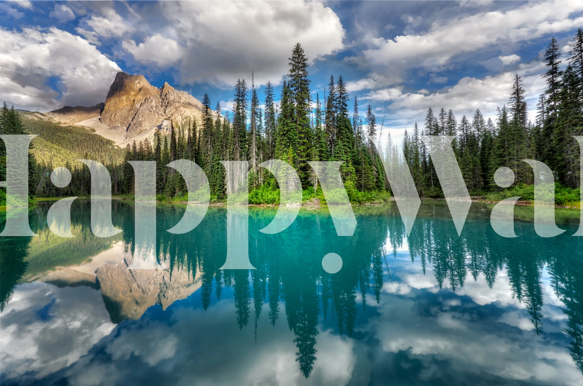 Emerald wallpaper displayed in a room