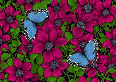 Pattern