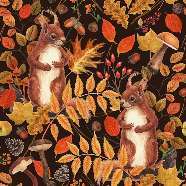 Autumnal squirrels and flora on dark brown