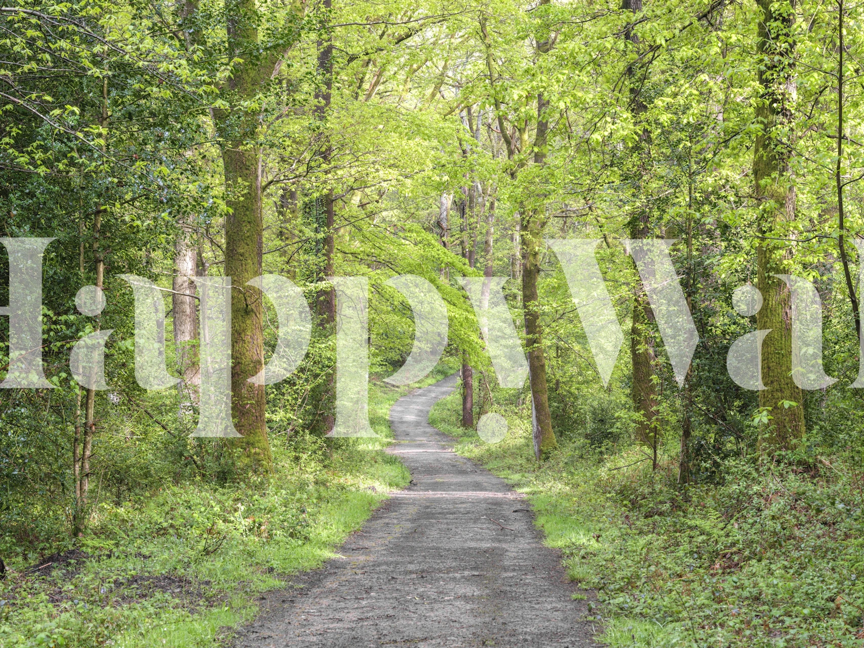 Tapeta Woodsy Wonder zobrazená v místnosti