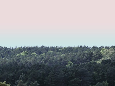 Wandgemälde