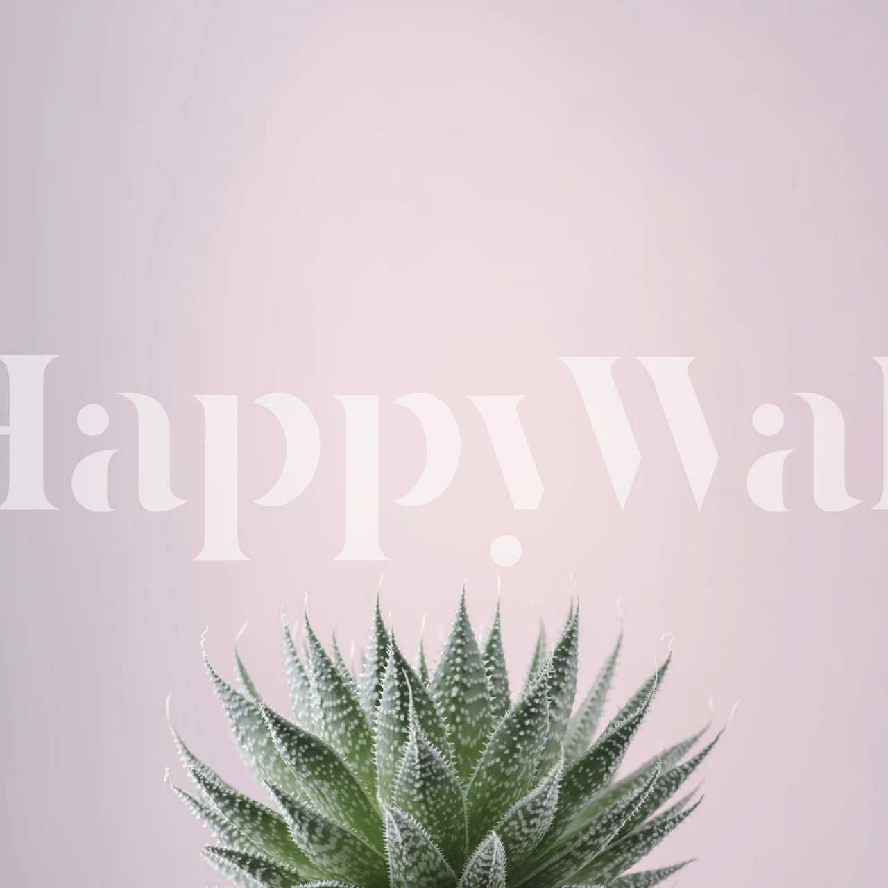 Papel de parede com design de Succulent Sculpture