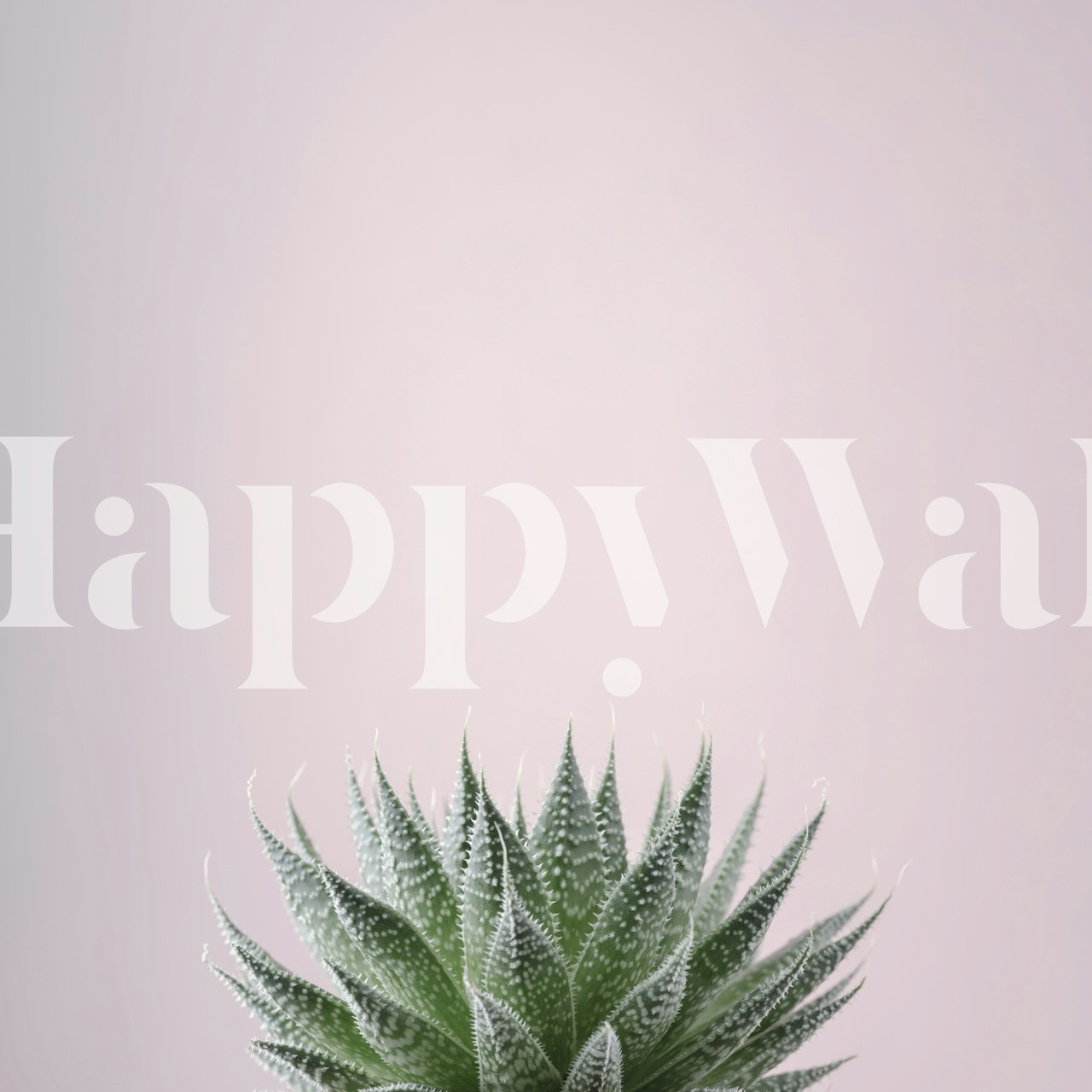 Ταπετσαρία με σχέδιο Succulent Sculpture