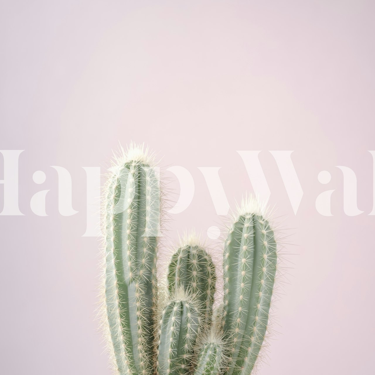 Cactus plants on a soft pink background wall mural