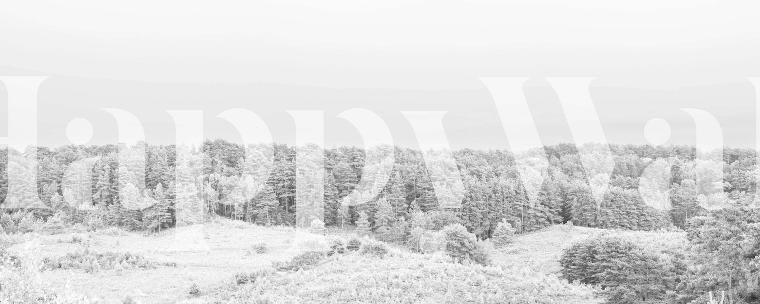 Serenade of Snow Tapete in einem Raum