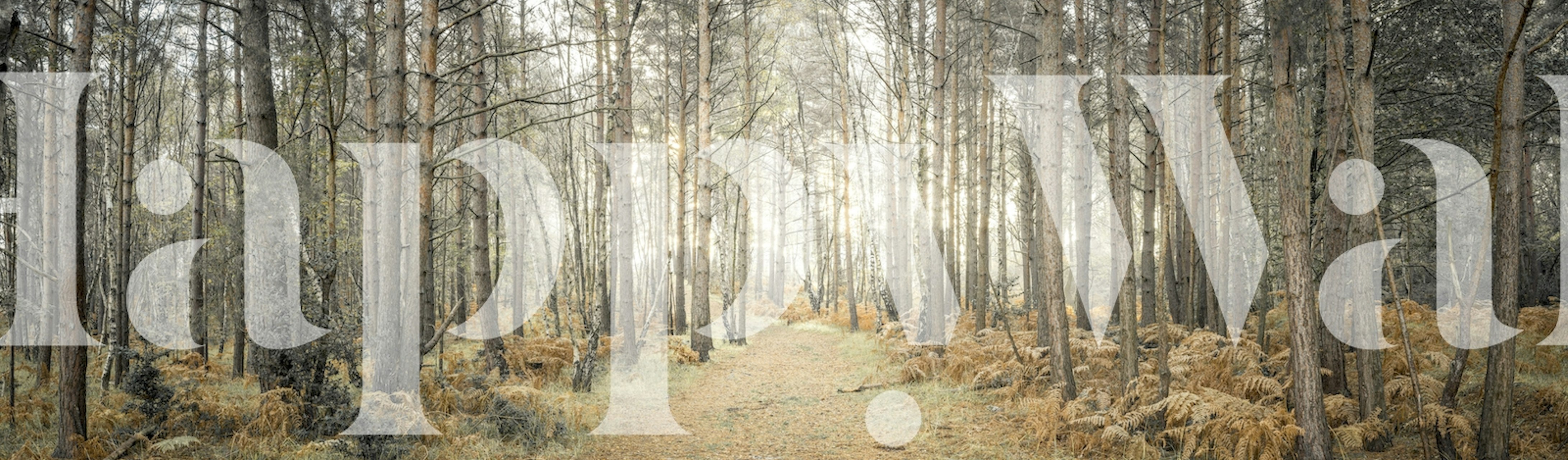 Woodland Wanderlust wallpaper in a room