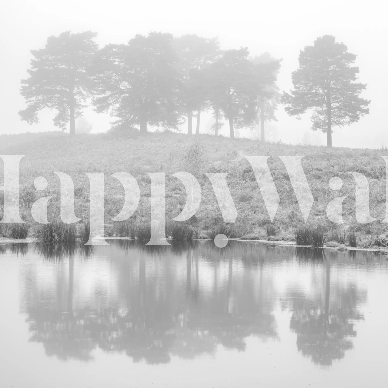Serene grayscale landscape wall mural with trees and their reflection in water