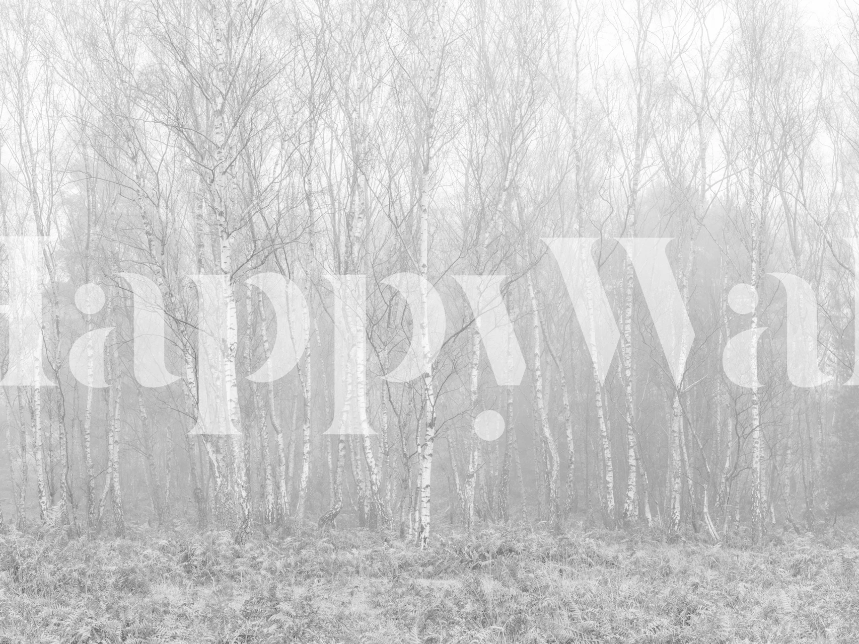 Tapeta Veiled in Fog u sobi