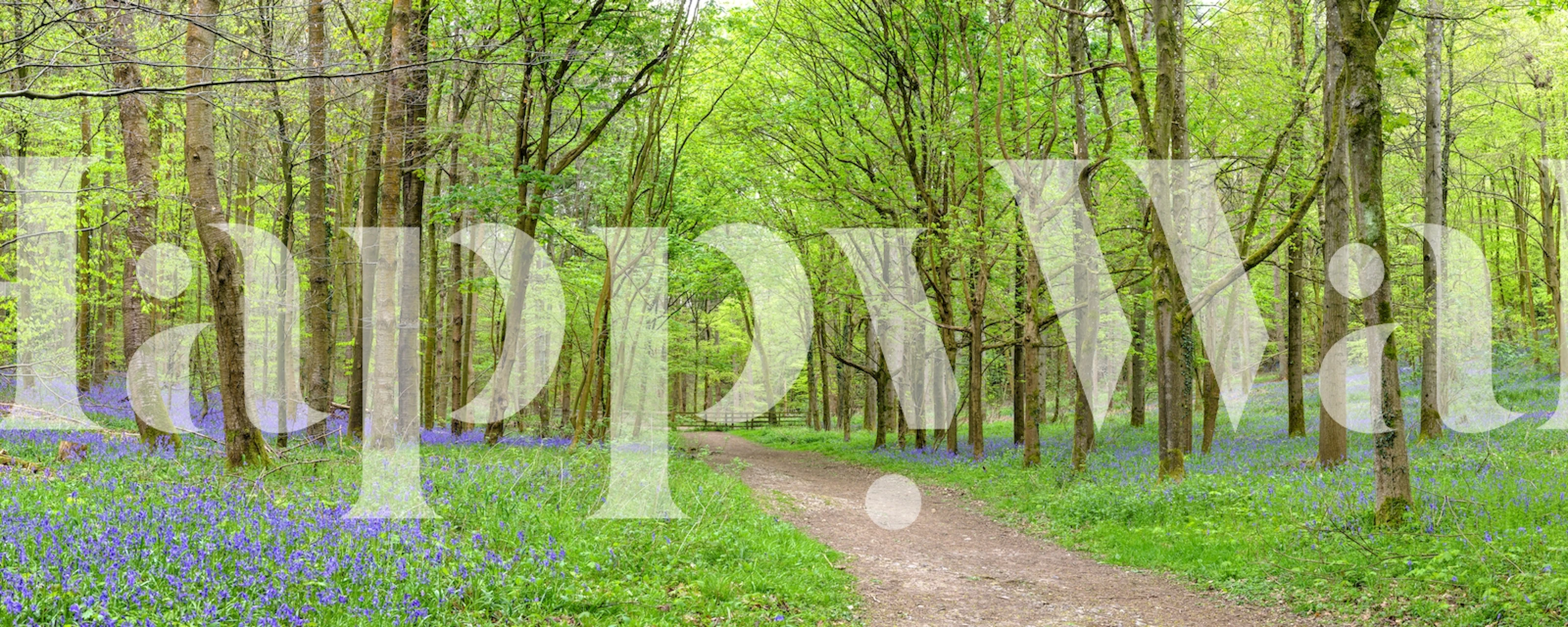 Tapet med blåklokker i en skog