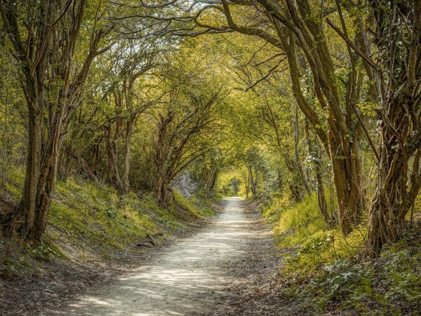 Journey of Discovery