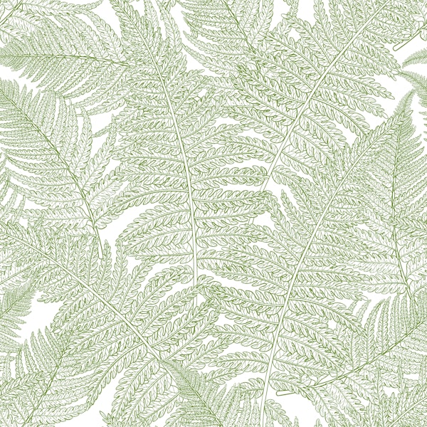 Fern in green and white