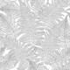 Fern in black and white