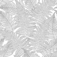 Fern in black and white tapet