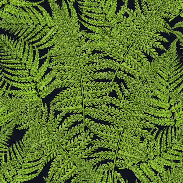 Fern, green and black