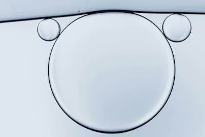 Τοιχογραφία