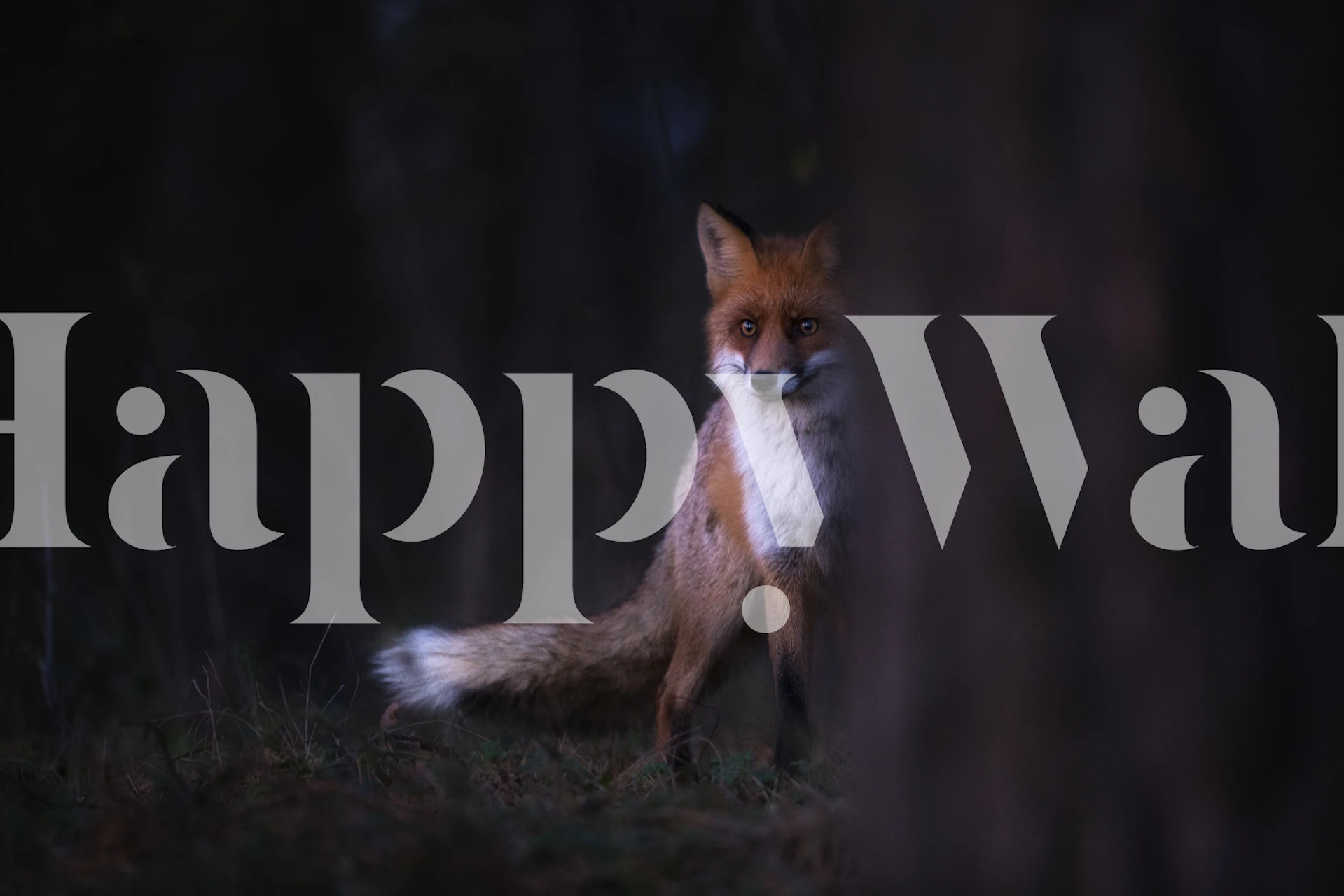 A mysterious fox in a twilight forest wall mural