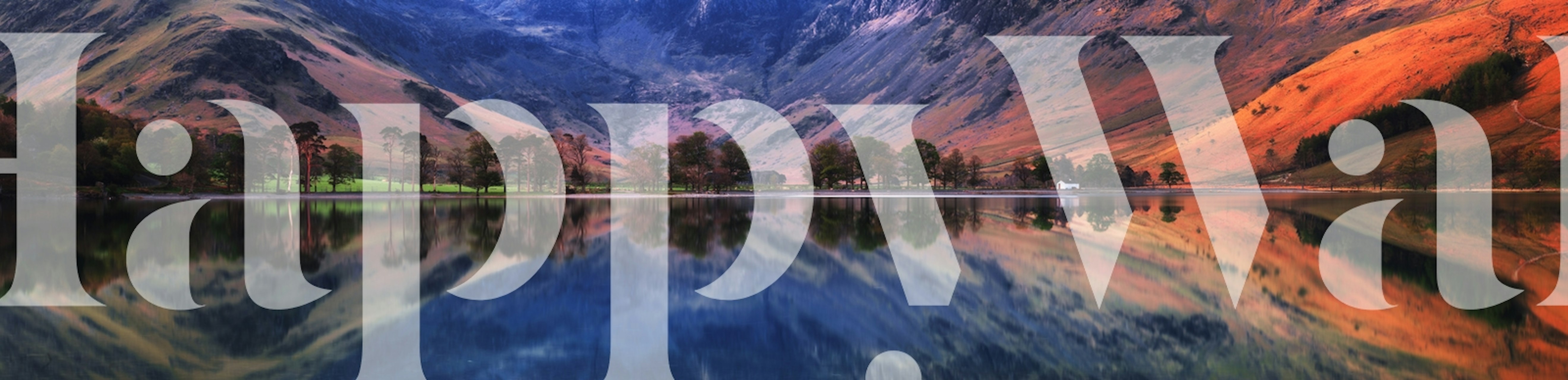 Ταπετσαρία Morning dream που εμφανίζεται σε ένα δωμάτιο