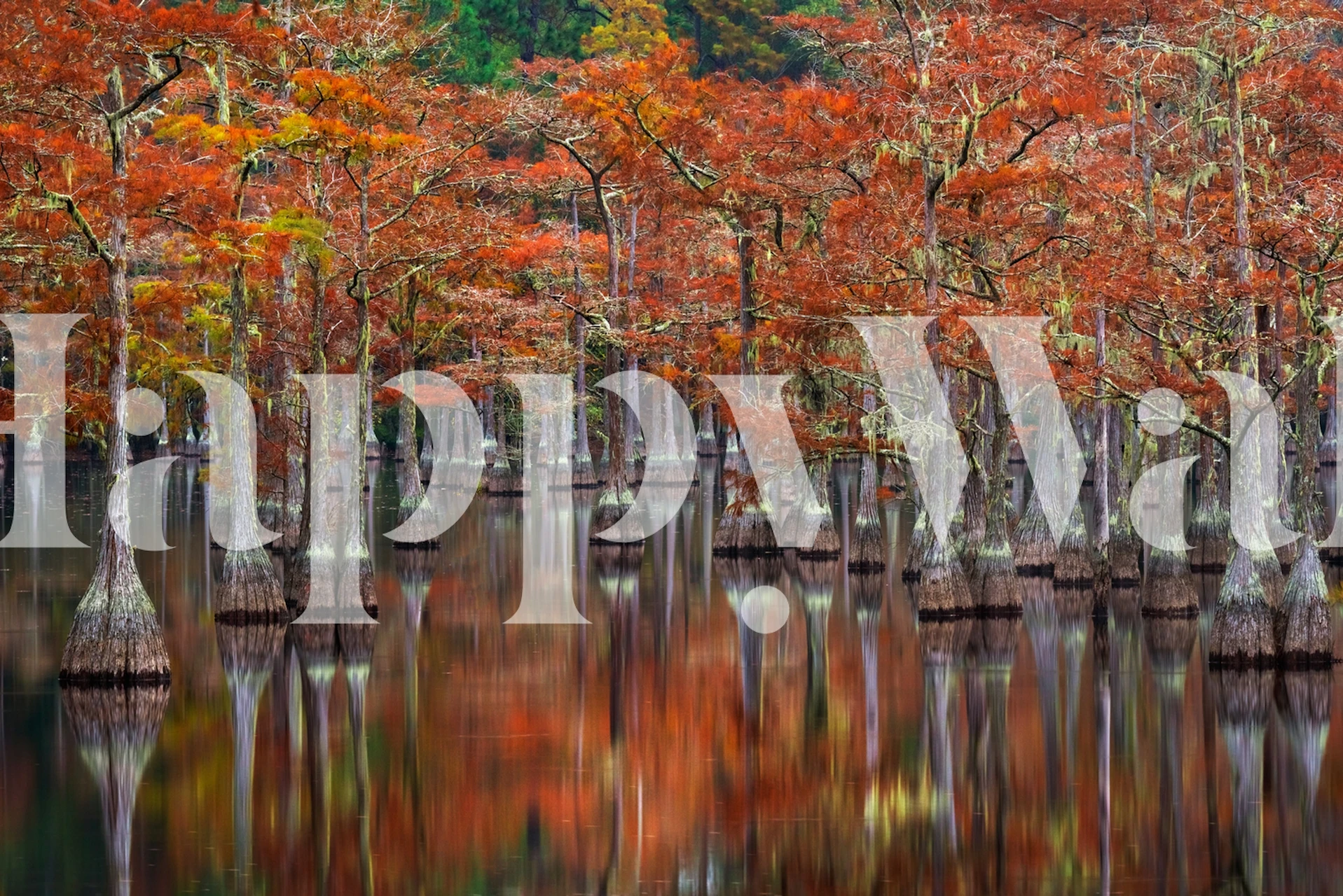 Quiet Cove wallpaper featuring trees and water