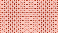 Red Pink Color Block Flowers wallpaper