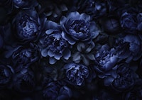 Opulent Florals Dark Midnight Blue papel de parede