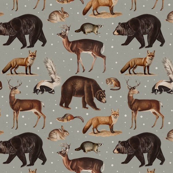 Winter Wild Animals