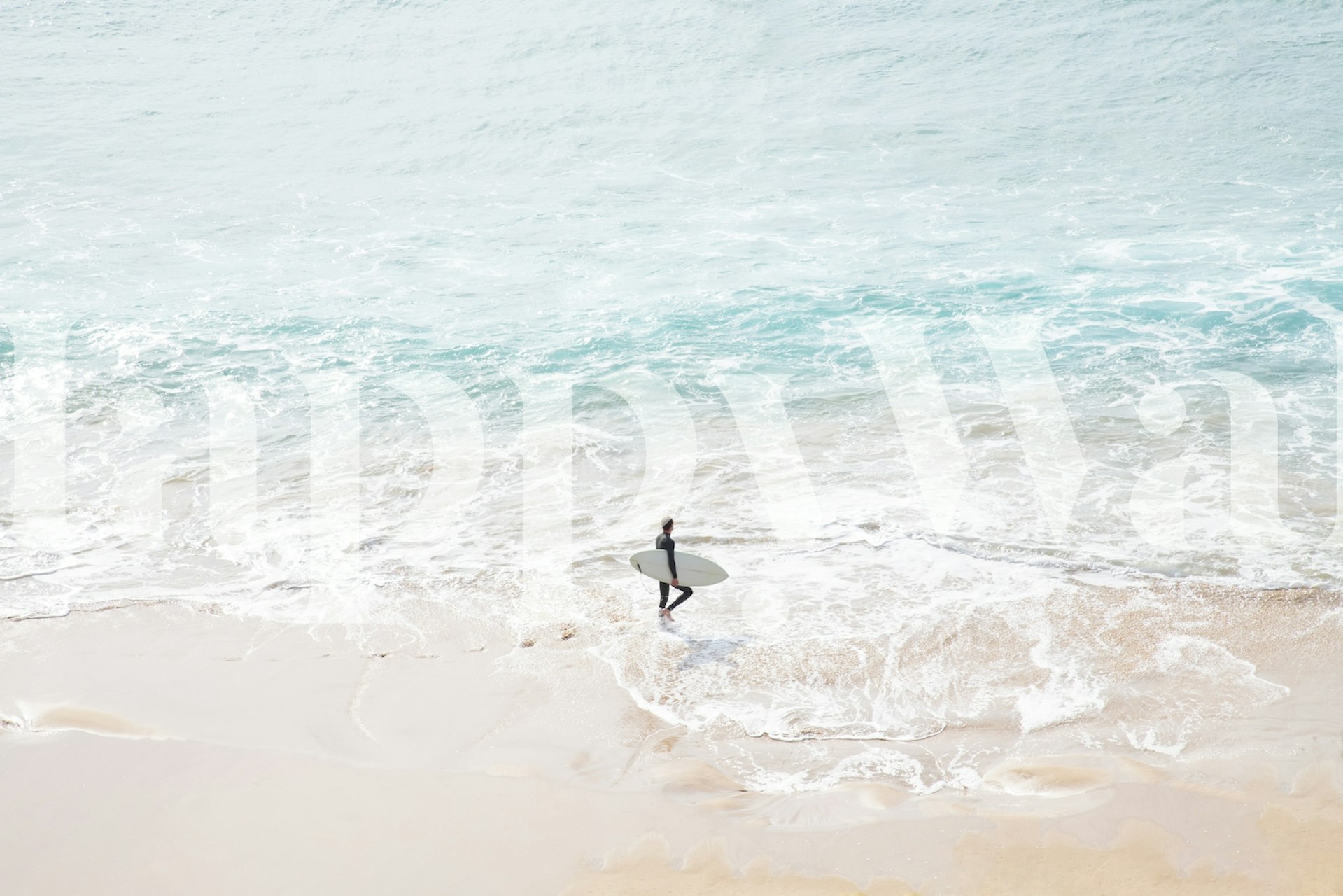 Noon Surfer Vibes 1 papel tapiz en una habitación