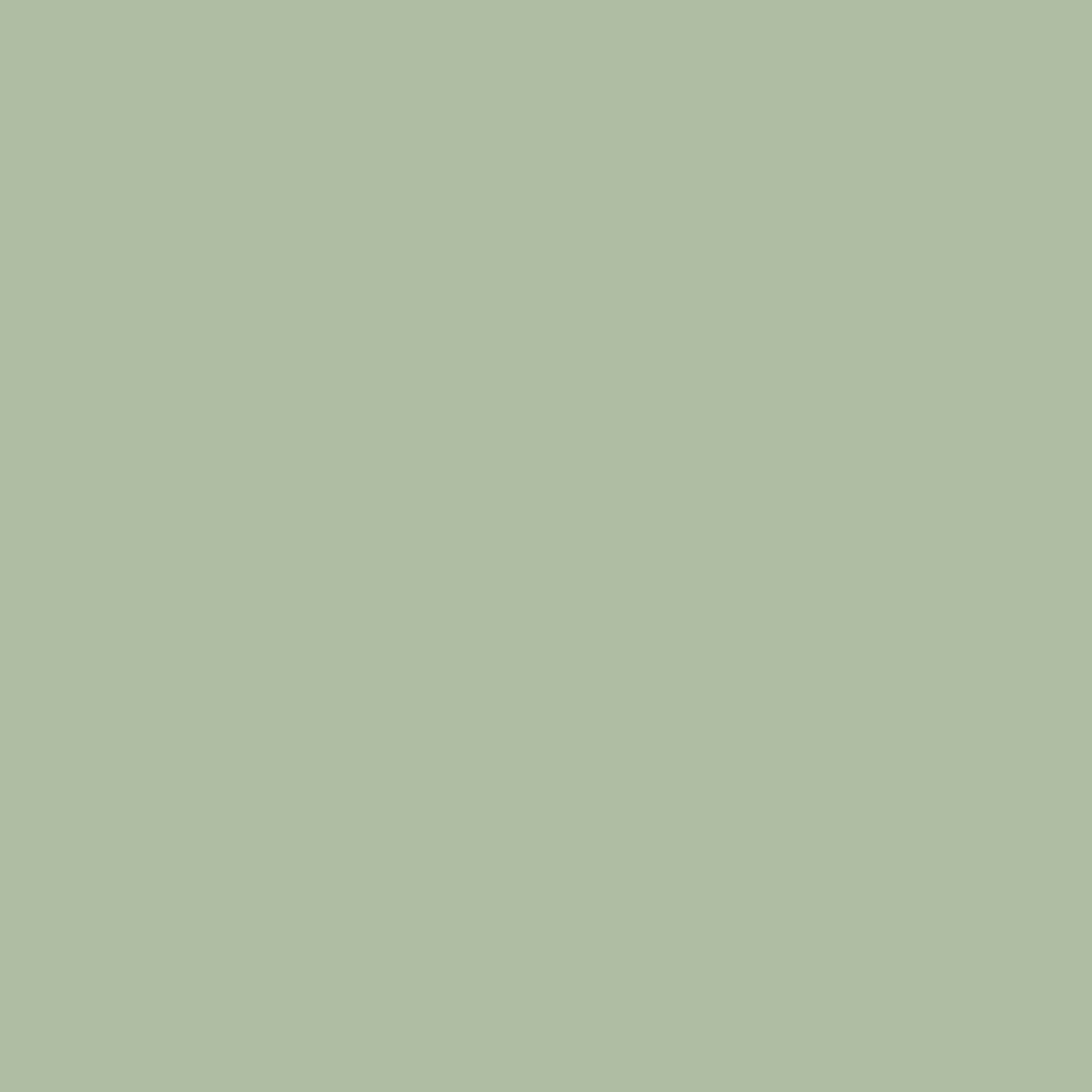 Cool Sage Green solid color wallpaper wallpaper | Happywall